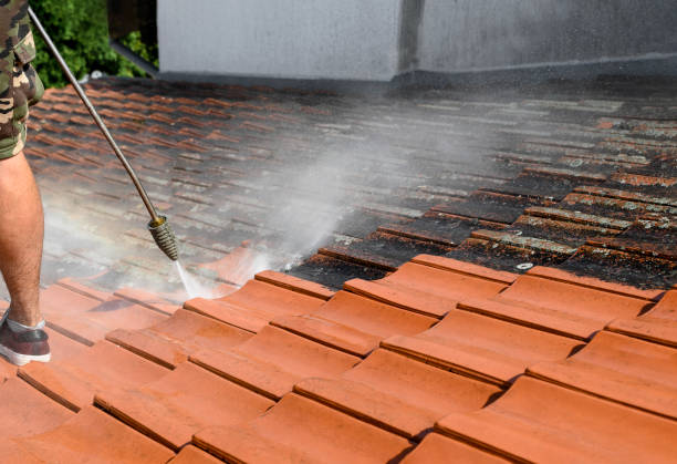 Best Power Washing Near Me  in Timnath, CO