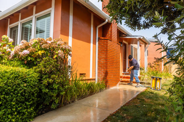 Best Affordable Pressure Washing  in Timnath, CO