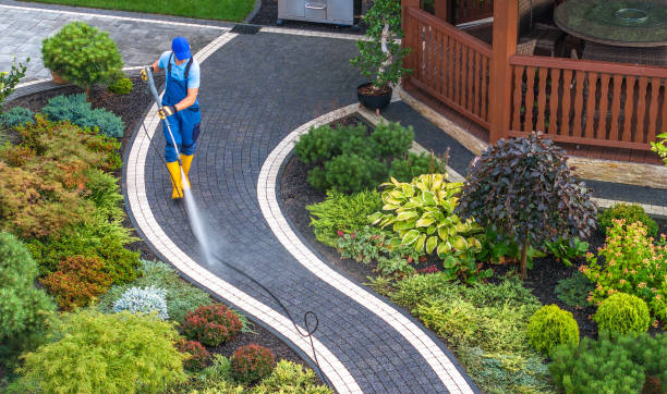 Best House Pressure Washing  in Timnath, CO